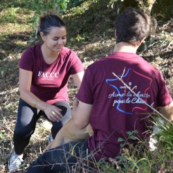 T shirt adulte